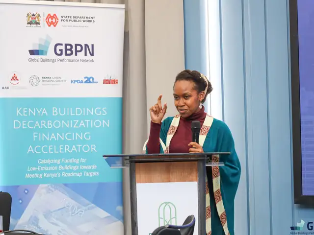 A speaker presents from the podium