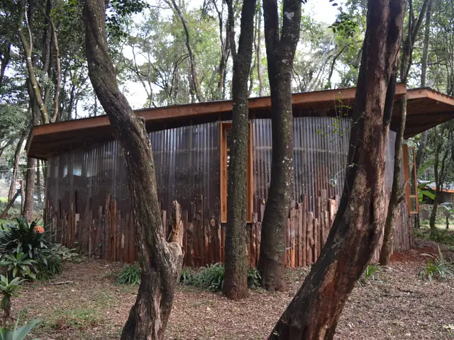 A curved classroom building among the trees