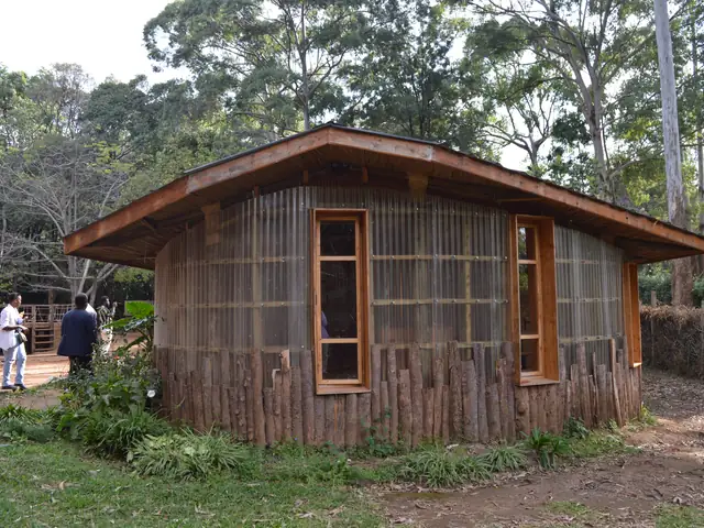 A classroom with a clerestory roof above a timber-pole base