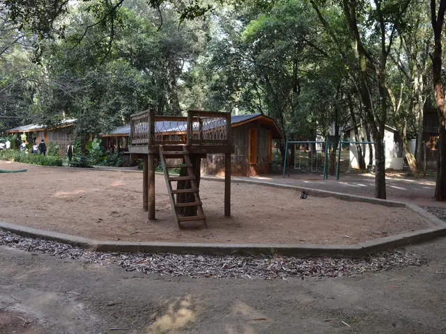 A timber lookout tower in a play court
