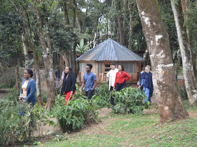 A small round hut in the school garden